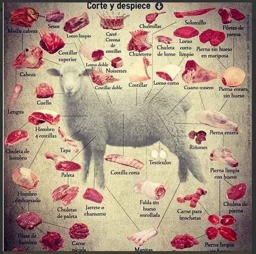 Partes del Cordero para la Barbacoa