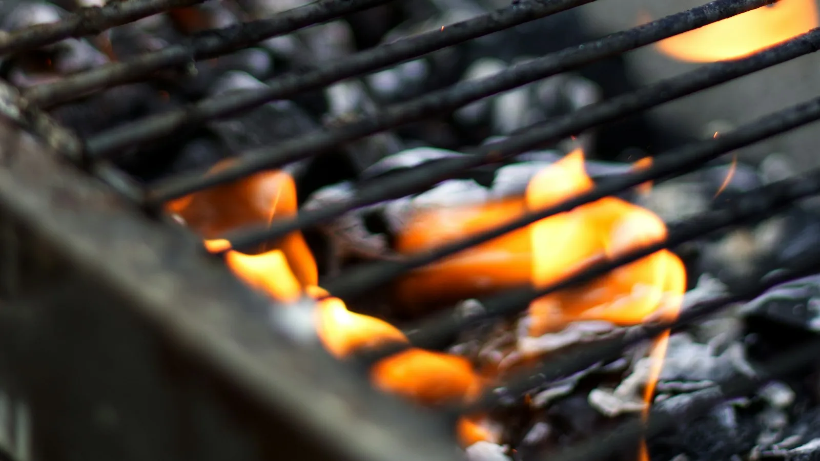 Carbón de encina o carbón de marabú: cuál es mejor para tu barbacoa (y otros tipos de carbón)