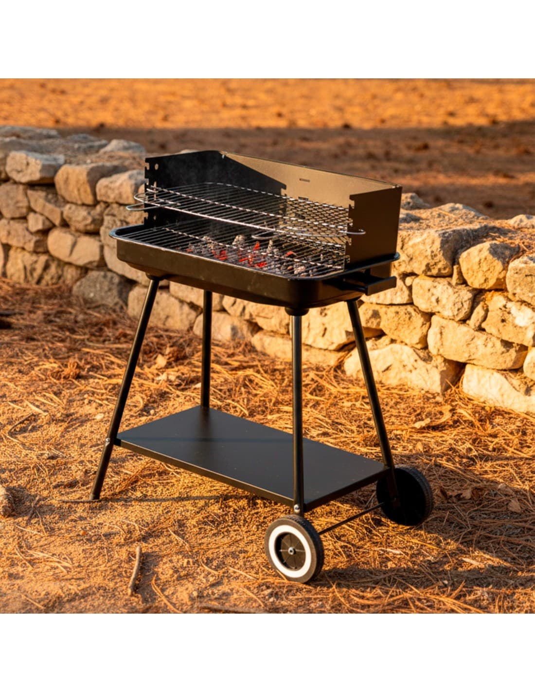 Barbacoa de carbón Aktive con parrilla regulable en 4 alturas 55 cm — barbacoa de carbón