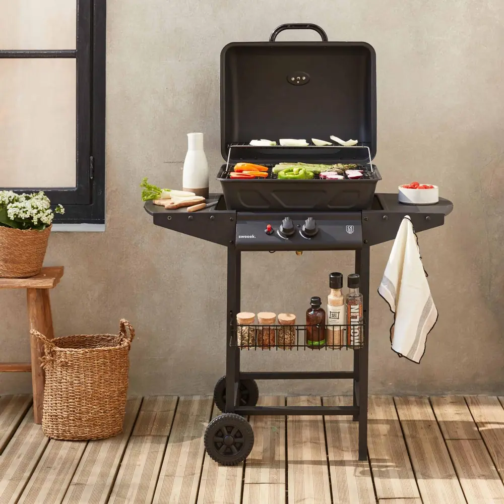 Barbacoa de gas Aramis 2 quemadores 5,5 kW con tapa y termómetro: con la tapa abierta y la parrilla a la vista