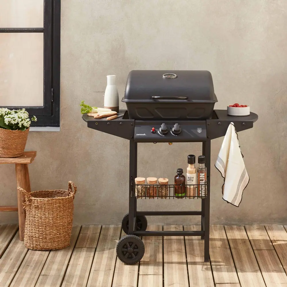 Barbacoa de gas Aramis 2 quemadores 5,5 kW con tapa y termómetro: instalada en el jardín, lista para cocinar