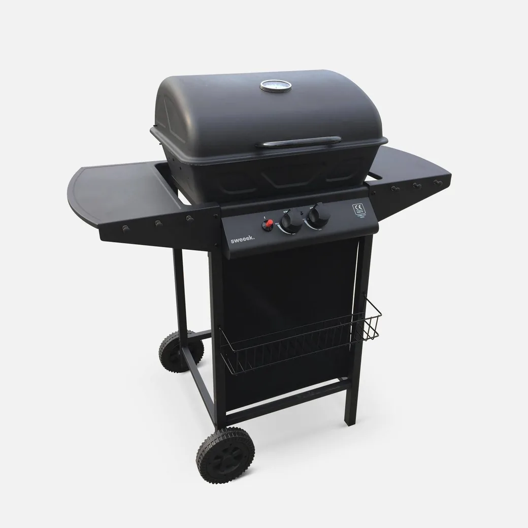 Barbacoa de gas Aramis 2 quemadores 5,5 kW con tapa y termómetro — barbacoa de gas