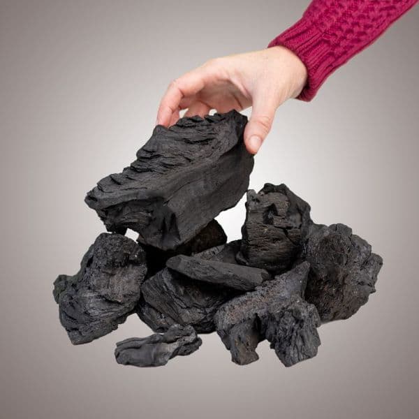 Carbón vegetal de calidad para barbacoa 10 Kg — carbón vegetal