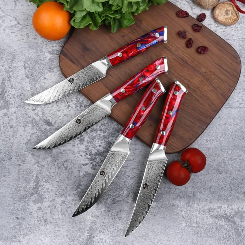 Juego de 4 cuchillos para carne WILDMOK acero Damasco 67 capas 13 cm — cuchillos para barbacoa