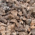 Leña de olivo en saco 12 Kg: detalle de las cepas