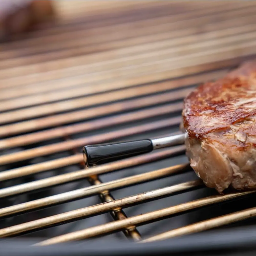 Termómetro inalámbrico Outdoorchef Easy Check, sonda sin cables con app: con la comida hecha en la parrilla y la rejilla superior