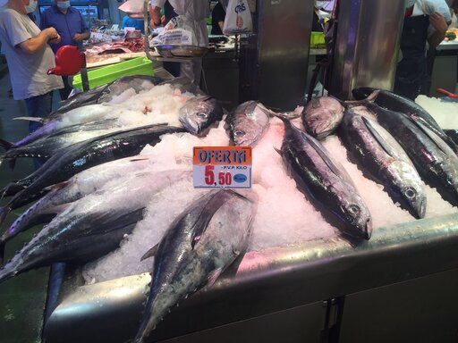 Puesto de pescado fresco en un mercado de Cantabria