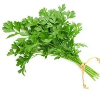 Perejil fresco, hierba aromática para barbacoa