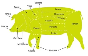despiece del cerdo iberico