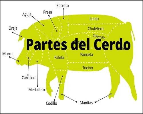 Partes del cerdo para barbacoa