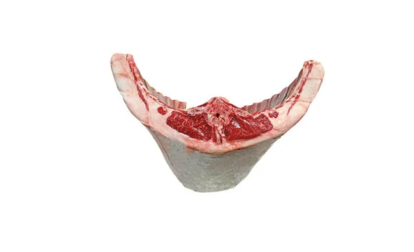 silla de cordero