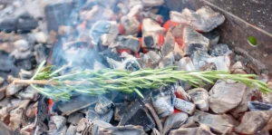 Virutas de madera para ahumar el salmón en la barbacoa