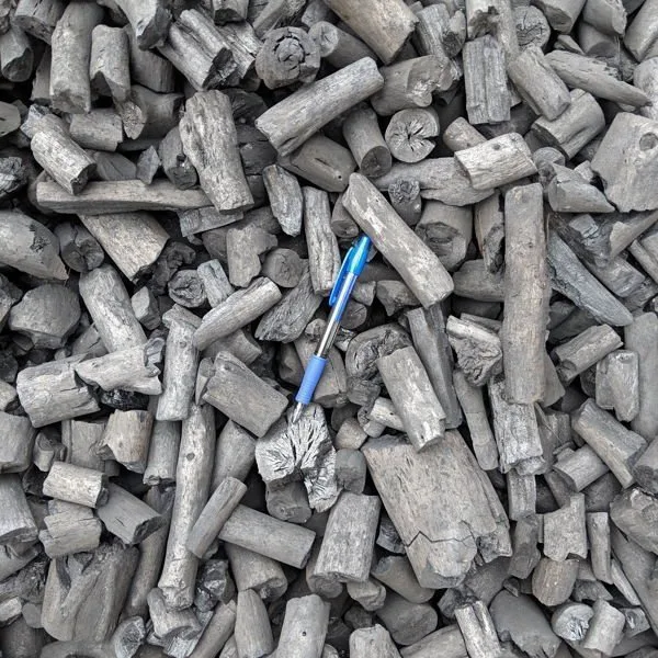 Carbón de marabú en canutillo con un bolígrafo al lado para comparar el tamaño