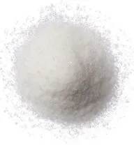 sal marina