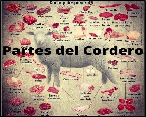 Partes del cordero para barbacoa
