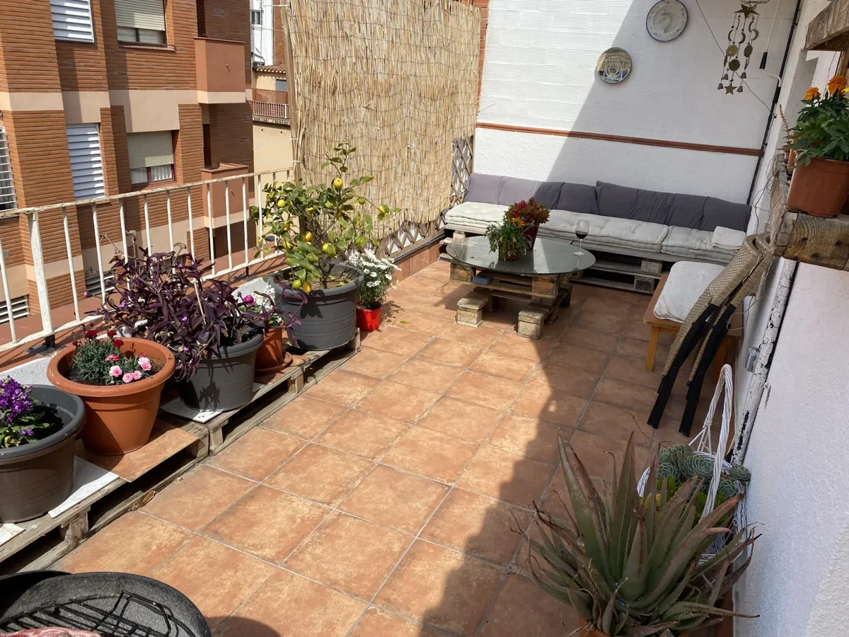 Terraza con sofá hecho con palés y cojines, mesa baja de palé con cristal y plantas en macetas
